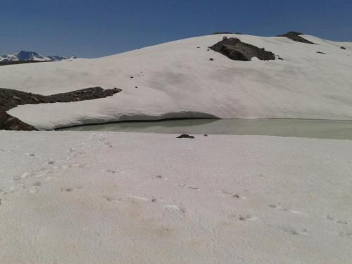 2013-Leperron_Argouse-28