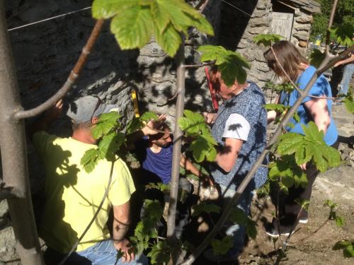 Leperron_ag2015_ma-10