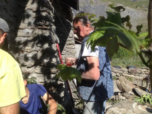 Leperron_ag2015_ma-12